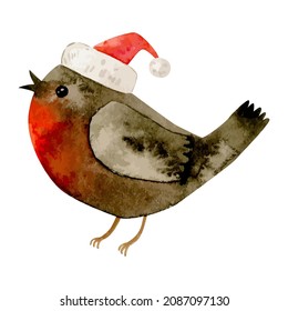 Bullfinch bird with Christmas hat, watercolor painting. vector illustration