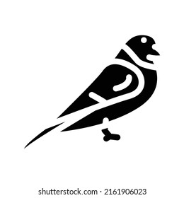 bullfinch bird glyph icon vector. bullfinch bird sign. isolated contour symbol black illustration