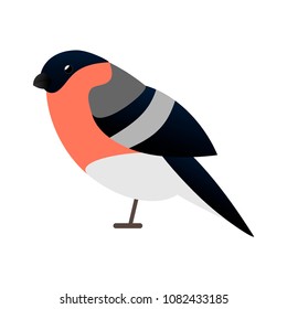 bullfinch bird isolated vector