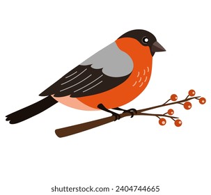 Bullfinch bird on branch with berries. Cute character of a red winter bird in a trendy hand drawn style. Perfect for a print, postcard or label Vector flat illustration.