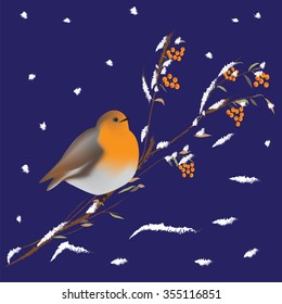 bullfinch bird on a branch of a mountain ash covered with snow winter background vector