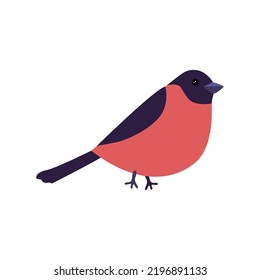 Bullfinch bird on a white background. vector illustration
