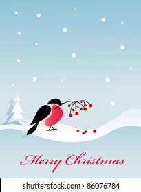 Bullfinch bird on winter background
