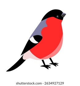 Bullfinch bird with red breast, folded wings sits on ground. Vector cute children's illustration on white isolated background. Side view.