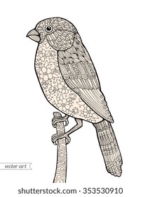 Bullfinch bird, vintage floral pattern. Vector engraving. Zentangle. Hand drawn artwork. Holiday concept for Merry Christmas card, ticket, branding, logo, label. Black and white, beige