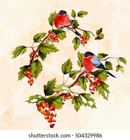 Bullfinch birds. Set of two bullfinch birds with branch and leaves, berries. Hand drawn, watercolor. Vector - stock.