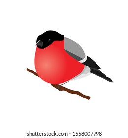 Bullfinch cartoon winter bird sitting on branch of the tree. Vector illustration isolated on white background