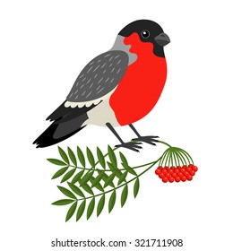 Bullfinch Christmas Bird. Vector Bullfinch on branch of mountain ash