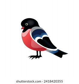 Bullfinch clipart on white background. Vector illustration