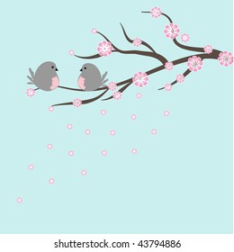 Bullfinch couple on the cherry tree.