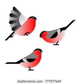 Bullfinch Flat illustration