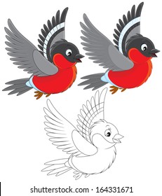 bullfinch flying
