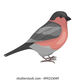 Bullfinch icon in cartoon style isolated on white background. Bird symbol stock vector illustration.