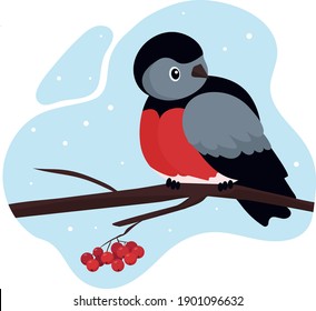 Bullfinch. Live bird sitting on a branch of a rowan tree. Red bunch of ripe berries. but on the background of blue sky and snowfall.  Vector flat illustration.