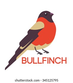 Bullfinch logo bird. Vector flat illustration