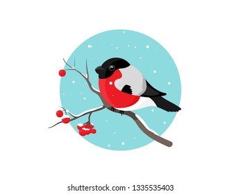 Bullfinch on the branch