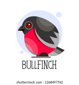 Bullfinch on a branch. Colored vector illustration. Isolated on white background.