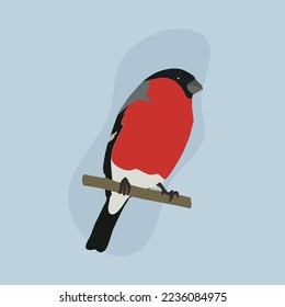 Bullfinch on the branch. Little bird with red belly on blue background. Vector cartoon close-up illustration.