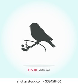Bullfinch on a branch of rowan. Vector illustration.