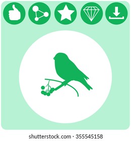 Bullfinch on a branch of rowan. Vector illustration.