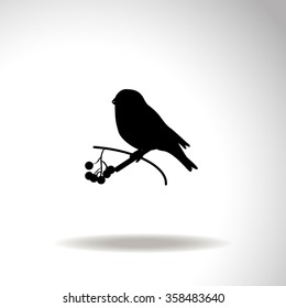 Bullfinch on a branch of rowan. Vector illustration.