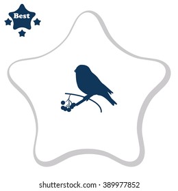 Bullfinch on a branch of rowan. Vector illustration.
