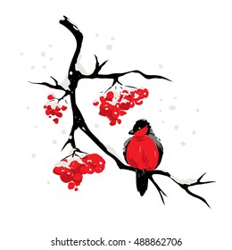 Bullfinch on the branch of rowan / Winter or christmas vector illustration