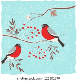 Bullfinch on the branch.Winter background. Vector