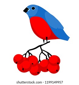 Bullfinch on the bunch of berries of rowan. Design element for winter posters, christmas greeting card etc.
