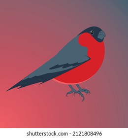 a bullfinch with a red breast sits on a gradient red-gray background