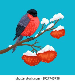 Bullfinch, red plumage, black wings, a detachment of sparrows. A pale winter bird. Sits on a branch of mountain ash with orange berries. Vector drawing in cartoon style, object for decor