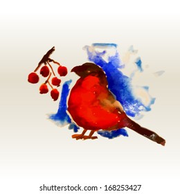 bullfinch and rowan watercolor. Vector