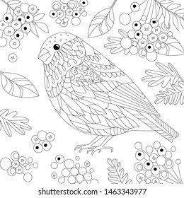 bullfinch in rowan for your coloring book