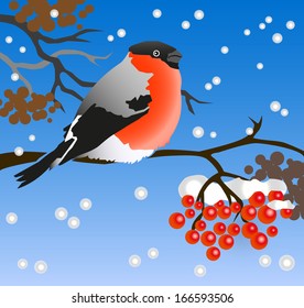 the bullfinch sits on a mountain ash branch. it is snowing