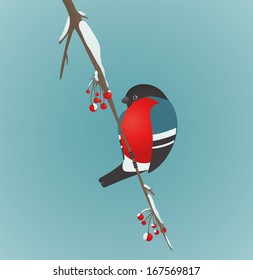 Bullfinch Sitting on Ashberry Twig. Bird illustration with berries. Vector EPS8 drawing.