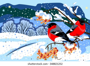 bullfinch sitting on a branch of rowan
