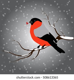bullfinch sitting on branch with a twig of Rowan in its beak, snowfall. Winter or christmas vector illustration
