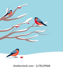 Bullfinch sitting on snow-covered branch of mountain ash. Christmas and New Year design greeting cards