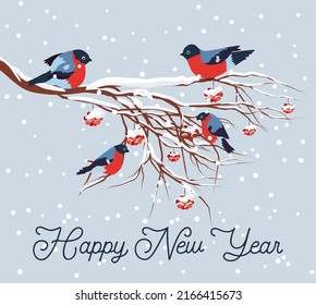 Bullfinch sitting on snow-covered branch of mountain ash. Christmas and New Year design greeting card