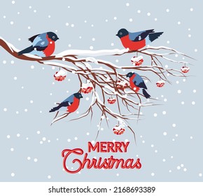 Bullfinch sitting on snow-covered branch of mountain ash. Christmas and New Year design greeting card
