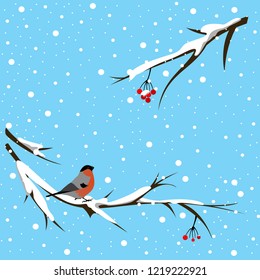 Bullfinch sitting on a snowy branch of a mountain ash