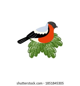 Bullfinch sitting on a spruce branch. Vector illustration of a bird.
