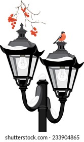 Bullfinch sitting on a street lantern. Vector