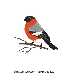 Bullfinch sitting on a tree branch. Vector illustration
