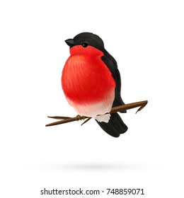 Bullfinch Sitting on Twig