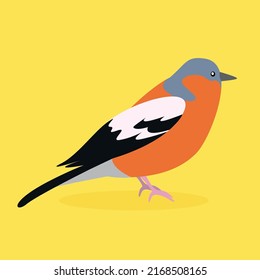 The bullfinch stands on its paws