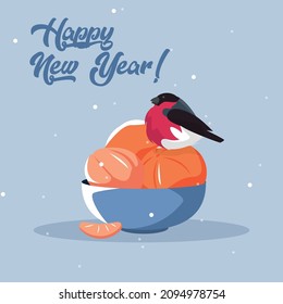 Bullfinch and tangerines bird on blue background