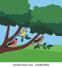 Bullfinch, Tit And Sparrow Sit On A Tree