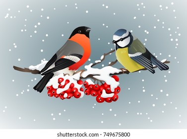 Bullfinch and titmouse sitting on  snow-covered branch of mountain ash winter nature vector illustration