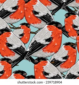 bullfinch, vector illustration bird, seamless